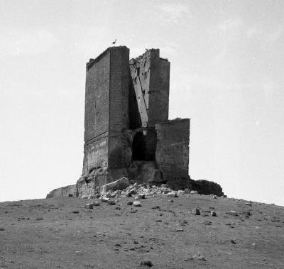 La vida es puro azar...