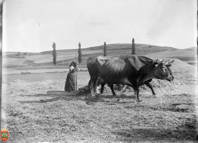 El dolor es un río...