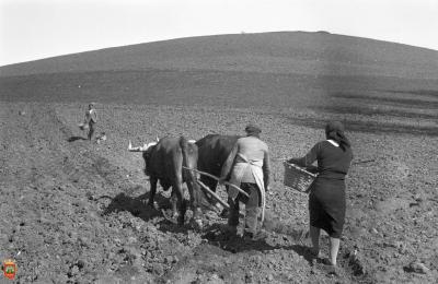 Allí donde latió el orgullo...