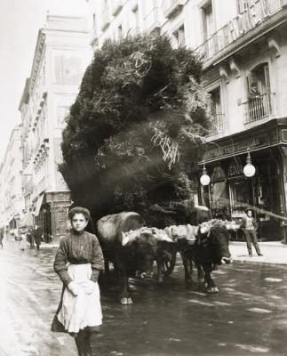 Yo me descubro lavado por la sangre...