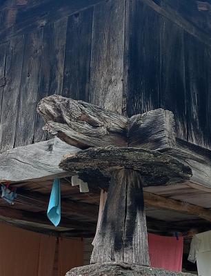 La luz, que tiene rostro...