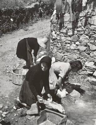 &iquest;Qu&eacute; le pasa a esa rosa...?