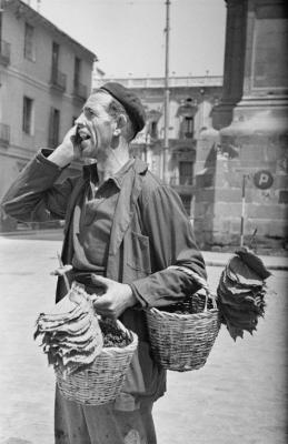 La naturaleza no envejece...