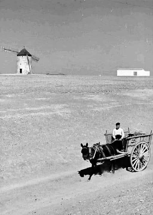 El viento guard&oacute; sus manos...