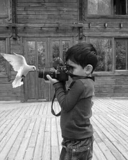 El perfume se agota...