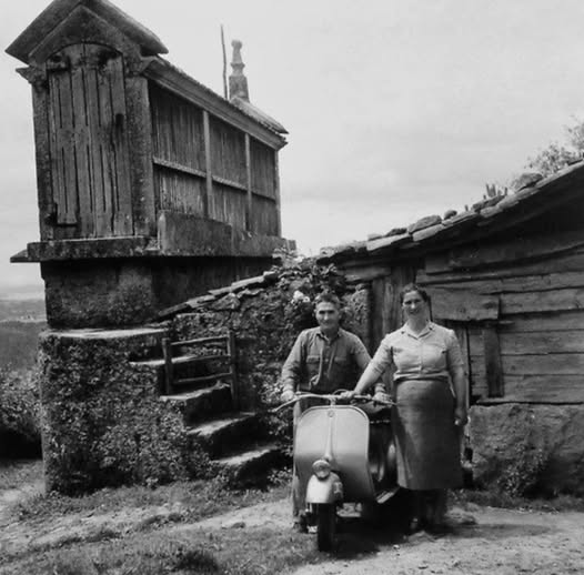 Va y viene el &aacute;rbol...