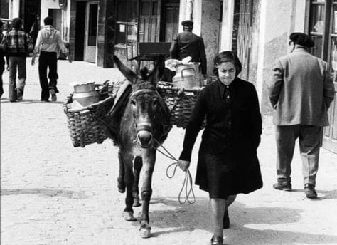 Mi vida, un cruce de caminos...