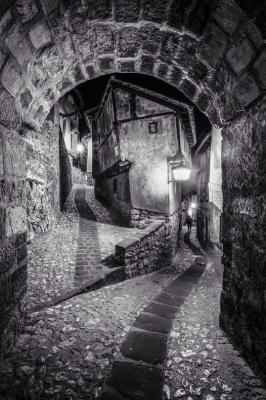 Si hubieses podido verlo...