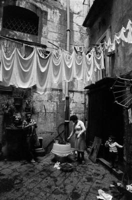 Perteneces a la tierra...