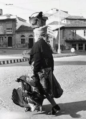 El lenguaje que usas...