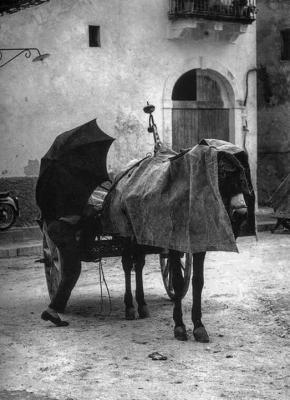 Lo anunciaron los juglares...