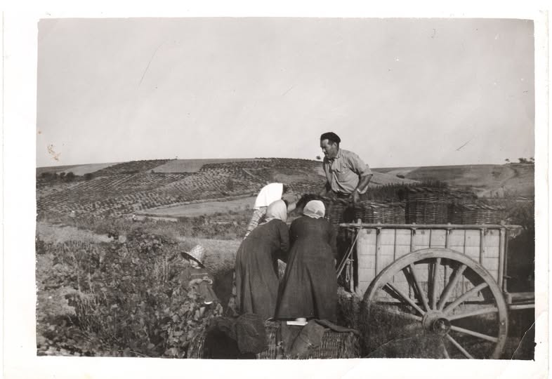 Entre el hoy y el ayer...